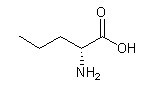 D-正缬氨酸